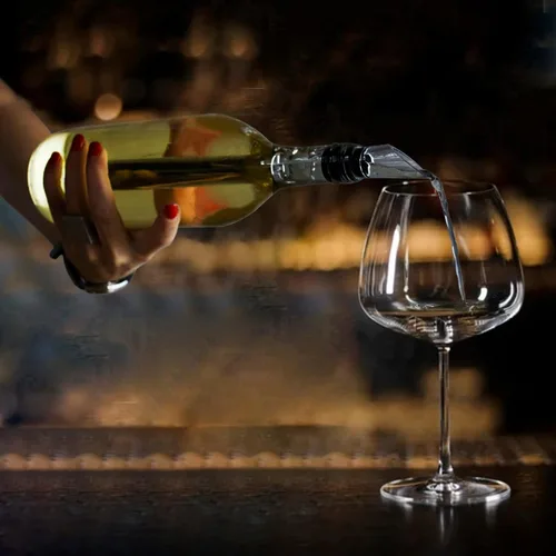 Vista 5 de Enfriador de vino pequeño enfriador de vino 3 en 1 de acero inoxidable enfriador de botellas de vino enfriadores de vino sin hielo para botellas