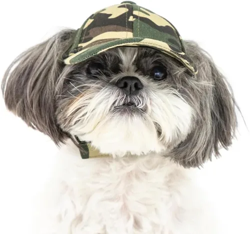 Vista 2 de PupLid Gorras de béisbol para perros, protección solar elegante de alta calidad para el perro moderno (XS, negro)