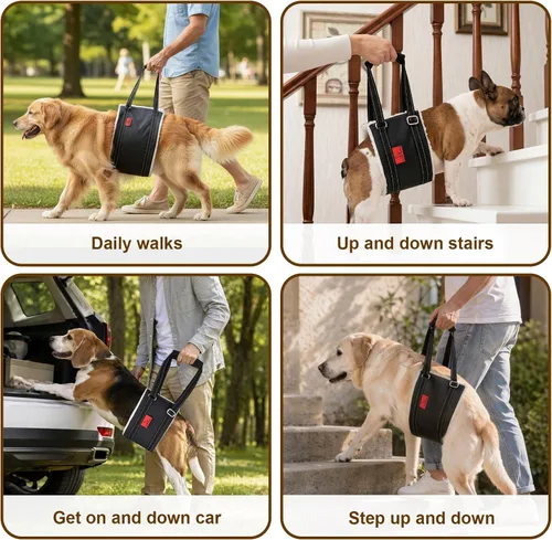 Vista 6 de Arnés de elevación para perros – Arnés ajustable para patas traseras con soporte suave para perros mayores, lesionados y discapacitados después