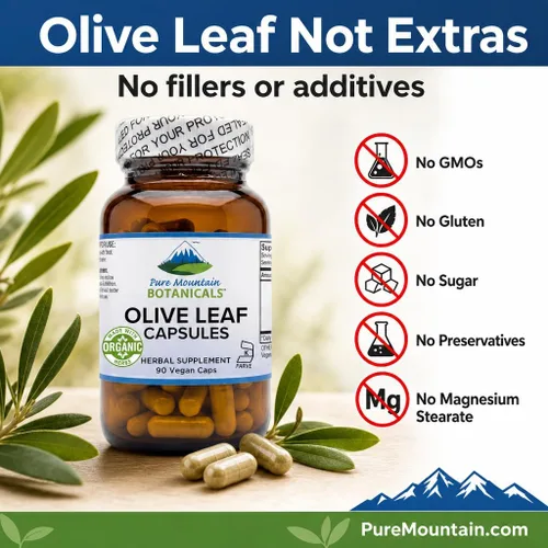 Vista 2 de Pure Mountain Botanicals Cápsulas de extracto de hoja de olivo - 400 mg 18% de oleuropeína