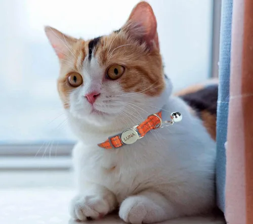 Vista 5 de Collar de gato reflectante personalizado con campana y hebilla separable, nombre grabado y número de teléfono