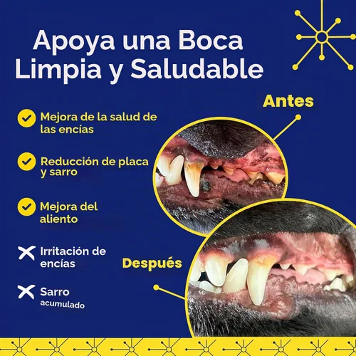 Vista 4 de TEEF FOR LIFE Protektin42 - Recambio de polvo dental prebiótico para perros, 30 porciones