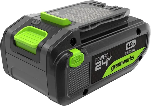 Vista 17 de Cargador de batería Greenworks de 24 V (cargador genuino Greenworks)