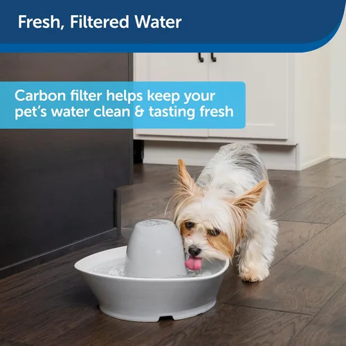 Vista 7 de PetSafe Fuente de agua para gatos y perros, filtros de carbono de repuesto de 70 onzas y Drinkwell, cerámica para perros y gatos y filtros de fuente