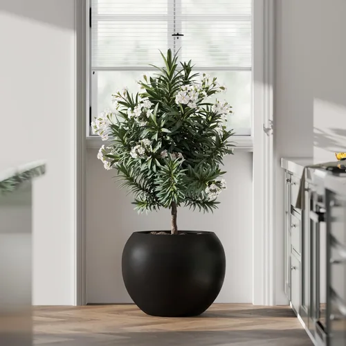 Vista 12 de DTY Fiberstone - Maceta tipo globo para interiores y exteriores, maceta esférica ligera para olivo, Monstera y palma, piedra de fibra de vidrio