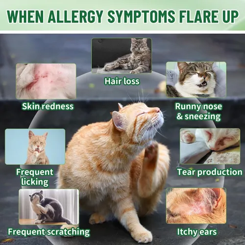 Vista 2 de Alivio de la alergia de gatos para gatos, alivio estacional de alergias cutáneas para gatos con picazón en la piel, patas, ojos, orejas, deja