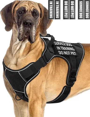 Vista 10 de Chaleco de perro de servicio para perros medianos, arnés de perro de servicio en entrenamiento con parches, chaleco ajustable para perros