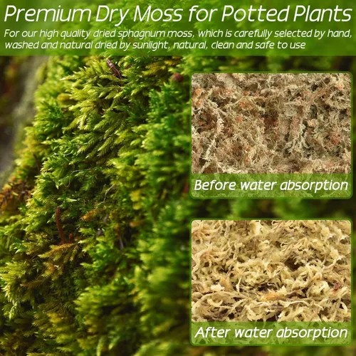Vista 5 de ZeeDix 1.5 kg de musgo premium de turba sphagnum a granel, fibra larga seca para orquídeas, musgo de turba sphagnum para plantas