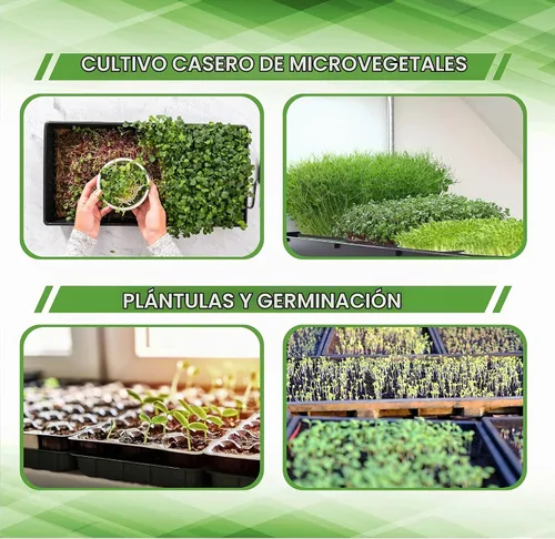 Vista 3 de Paquete de 6 bandejas de plántulas de alta calidad, bandejas de cultivo de microverdes, sin agujeros de drenaje, plástico resistente, duradero