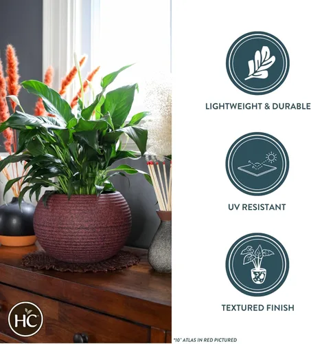 Vista 3 de The HC Companies Maceta Atlas Sphere de 8 pulgadas, ligera, decorativa, redonda, de plástico, para interiores y exteriores, para hierbas y flores