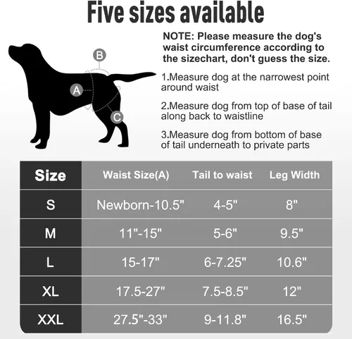 Vista 7 de Pañales lavables y reutilizables para perritos (5 unidades) para perritos, pequeños, medianos y grandes, para cachorros y perritos, bragas