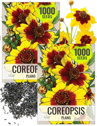 Vista 9 de Seed Needs Coreopsis Plains - Semillas para plantar flores amarillas al aire libre, 1 paquete