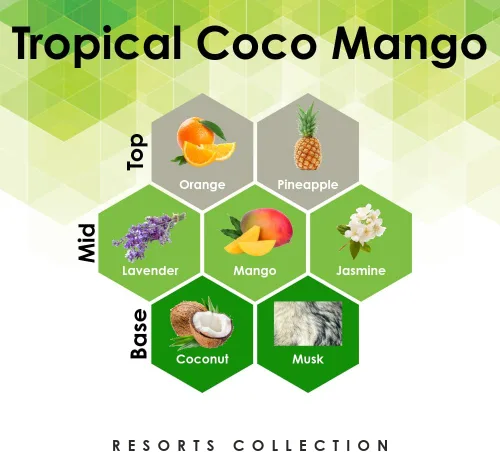 Vista 2 de Aceite de fragancia de mango de coco tropical, 27 onzas, repuesto para difusor de aceite
