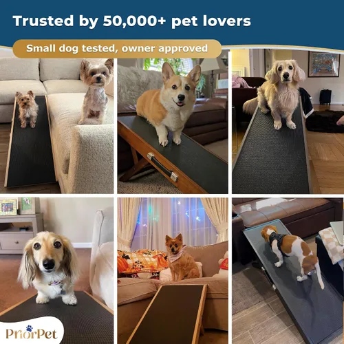 Vista 8 de Rampa para perros para sofá, antideslizante, resistente, plegable, soporta hasta 200 libras, ajustable de 7 a 20 pulgadas, plataforma de aterrizaje