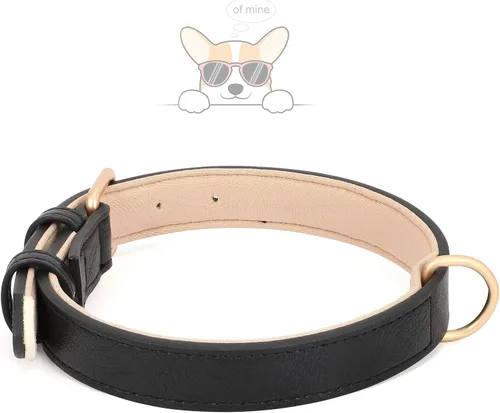 Vista 3 de WHIPPY Collar de cuero para perro pequeño, mediano y grande, ajustable, suave, transpirable, acolchado, de cuero con hebilla de aleación, resistente