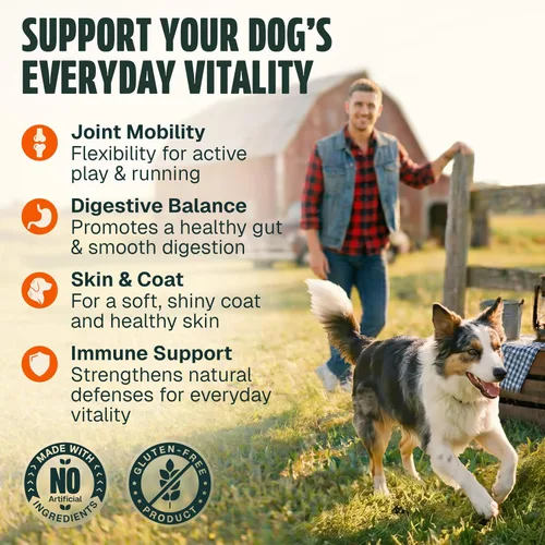 Vista 4 de Vitaminas y suplementos para perros, 250 masticables, multivitamínicos 26 en 1, masticables suaves con glucosamina, condroitina, probióticos, Omega