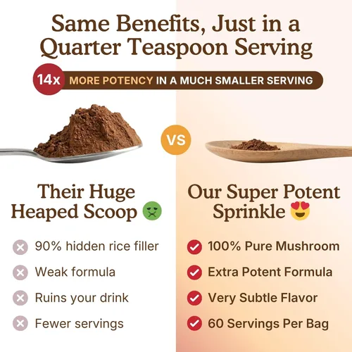 Vista 6 de Suplemento orgánico USDA de 10 hongos en polvo, enfoque y apoyo inmunológico 100% cuerpo fructífero, melena de león, cordyceps, hongo reishi