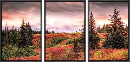 Vista 80 de SIGNWIN Lienzo enmarcado para pared, juego de arte nublado de tormenta, cielo, bosque otoñal, árboles, rústico, naturaleza, fotografía, realismo