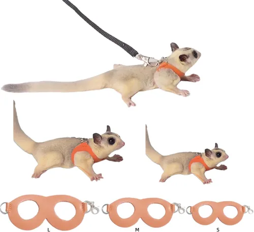 Vista 11 de MANON ROSA Sugar Glider - Juego de arnés y correa, chaleco ajustable de 3 piezas a prueba de escapes para ardillas, ratas, ratones, ratones