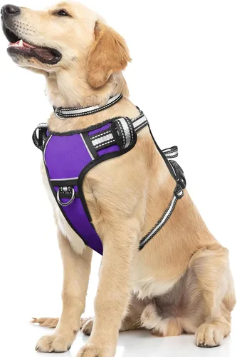 Vista 18 de Arnés para perro sin tirones, arneses para mascotas con collar, chaleco Oxford reflectante y ajustable, hebillas delanteras y traseras para correa