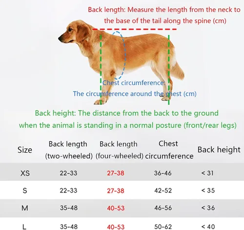 Vista 4 de Dog Wheelchair for Back Legs,Lightweight 2/4 Wheels Pet Wheelchair,Disabled Hind Legs Walking Stable Dog Cart,Adjustable, Quiet and Wear-Resistant