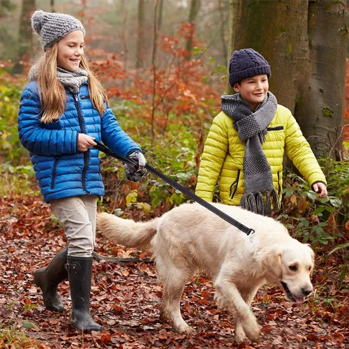 Vista 6 de Correa para perro para perros grandes, acolchado de tráfico, 2 asas para control adicional, 6 pies de largo con puntada reflectante para caminar por