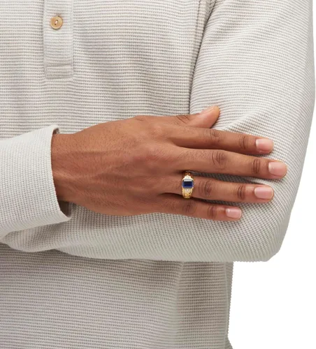 Vista 4 de PalmBeach - Anillo para hombre, chapado en oro amarillo, talla 8 a 13