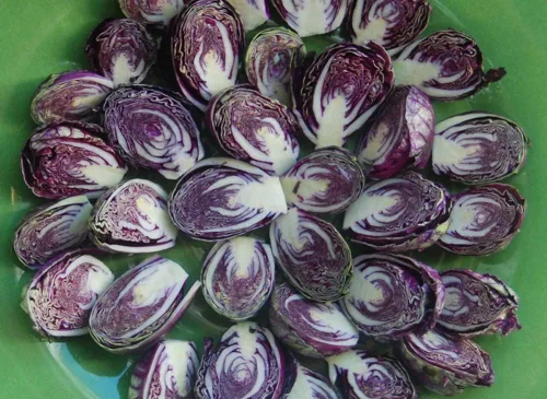 Vista 6 de Más de 100 semillas de coles de Bruselas Rosella Col - Vegetal Púrpura