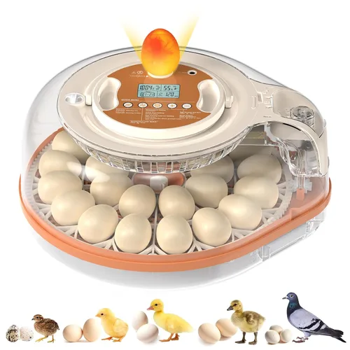 Vista 9 de Incubadora de 26 huevos para incubar huevos, giro automático, control de naranja blanco