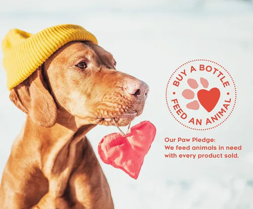 Vista 5 de M.BARC Naturals Champú y acondicionador para mascotas para perros y gatos, 16 onzas (paquete de 2 unidades), romero lavanda, elimina la suciedad
