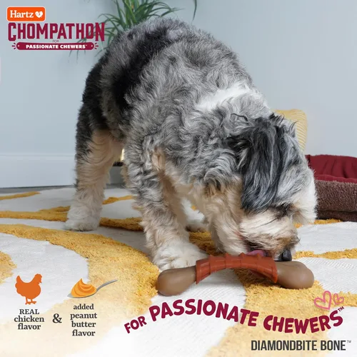 Vista 3 de Hartz Chompathon Diamondbite - Juguete masticable para perros masticadores agresivos, doble capa con sabor a pollo y mantequilla de maní