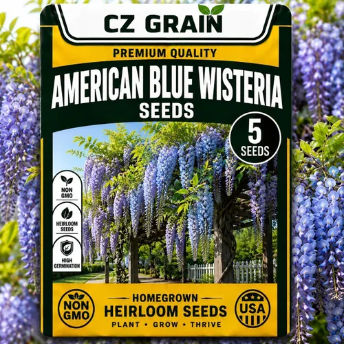 Vista 71 de CZ Grain Semillas para plantar, 40 pequeñas mezclas de calabaza