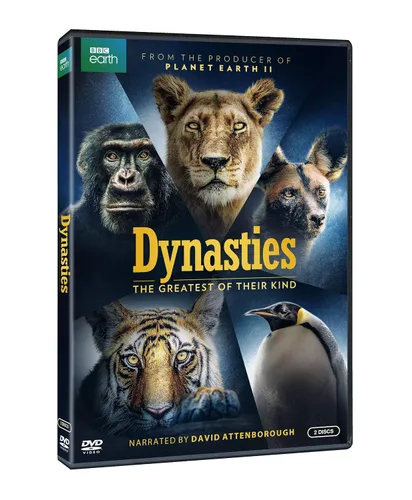 Vista 2 de Dynasties (DVD)