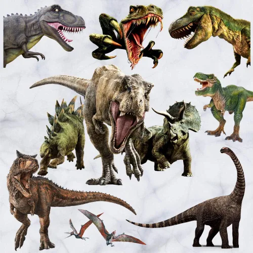 Vista 13 de Kiddale Calcomanías de pared de dinosaurio, calcomanías de arte extraíbles para decoración del hogar 11pcsa