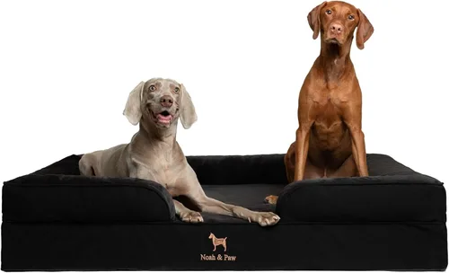 Vista 16 de NOAH & PAW Cama para perros pequeños, 20 x 15 x 8 pulgadas, cama para gatos de interior, espuma viscoelástica ortopédica de cáscara de huevo