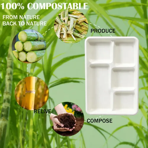 Vista 6 de Platos de papel compostables de 5 compartimentos, paquete de 60 bandejas divididas desechables de 10.25 y 12.5 pulgadas, impermeables y resistentes