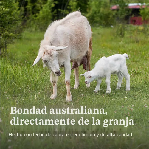 Vista 5 de Bubs Fórmula de leche entera de cabra con hierro, polvo a base de leche de cabra, para bebés de 0 a 12 meses, hecha con leche de cabra sin OMG, 20