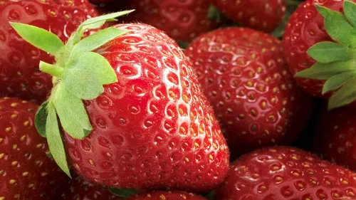 Vista 8 de Semillas Fresca Gigante Fresca - Frutas Perennes para Plantar - Sin OGM