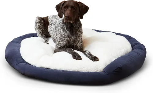 Vista 18 de Maddie Donut - Cama para perro con almohada central extraíble, color crema, pequeña (24 x 24 pulgadas)