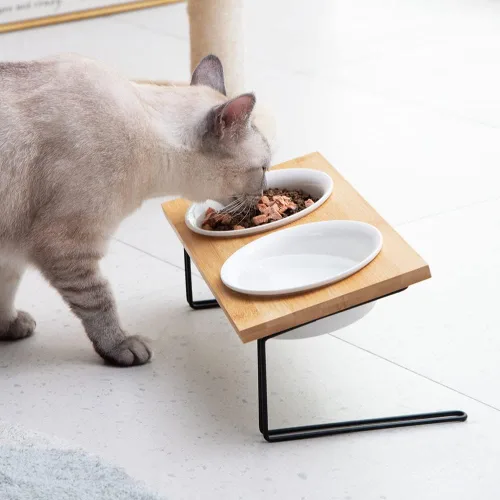 Vista 4 de Sweejar Cuencos elevados de cerámica para gatos, cuencos pequeños para perros, cuenco elevado inclinado en 15° con soporte de madera maciza