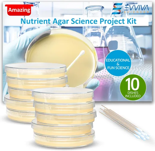 Vista 12 de Evviva Sciences - Kit de proyectos científicos de agar de nutrientes Petri, placas de agar previamente vertidas para experimentos científicos