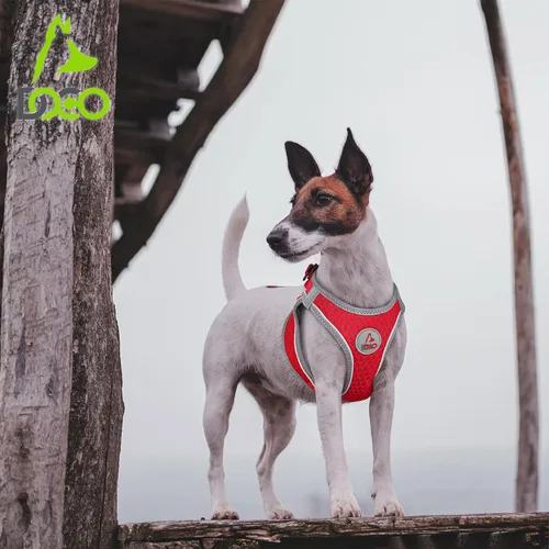 Vista 5 de DOCO Arnés para perro de tamaño pequeño – Athletica ajustable, sin tirones, sin estrangulamiento, chaleco ligero de malla de aire, reflectante, Gris