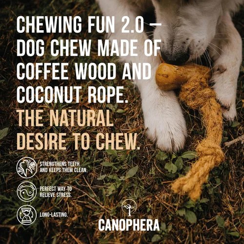 Vista 4 de Canophera Juguete masticable de madera y coco para perros para dientes y encías saludables, tamaño pequeño, todas las razas de perros