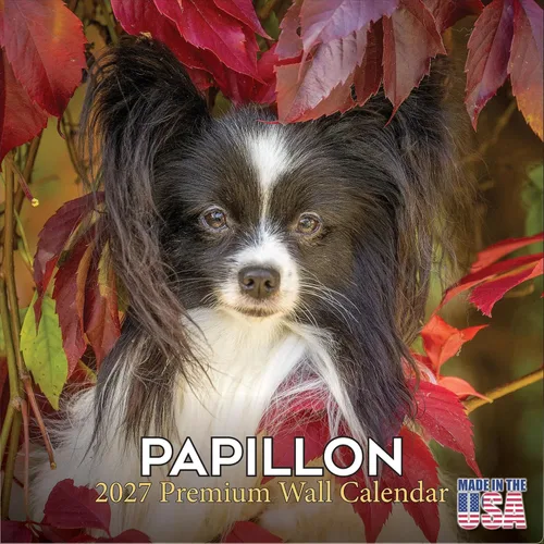 Vista 158 de Calendario de Lebrel Afgano 2025 2026, calendario mensual de pared de raza canina, 12" x 18" abierto, papel grueso sin traspaso, ideal para regalo