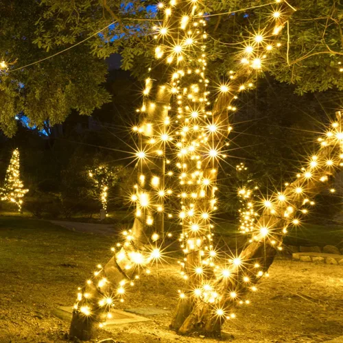 Vista 6 de Wintergreen Lighting 50 bombillas LED de Navidad de luz blanca cálida, 5,2 m de cable verde para interiores y exteriores, grado comercial, mini