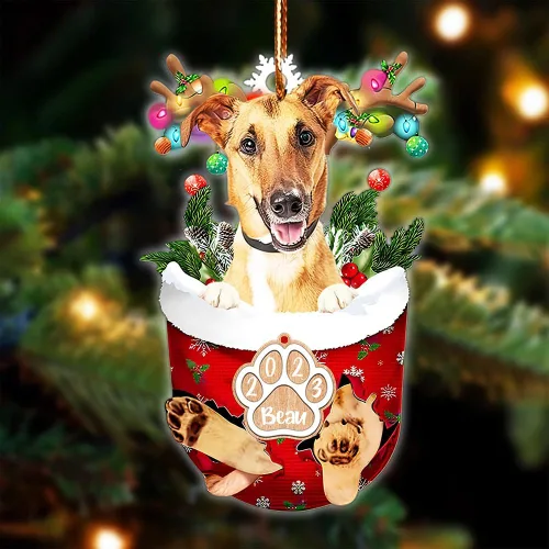 Vista 131 de NAZENTI Adorno Navideño de Bolsillo Personalizado de Affenpinscher en la Nieve, Adorno de Forma Acrílica de Perro, Adorno de Navidad 2023, Adorno