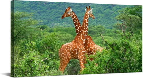 Vista 41 de YONICA Lienzo de pared de animales de la naturaleza, pintura de pared de águila, impresión artística de águila calva voladora impresa en lienzo