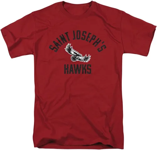 Vista 18 de LOGOVISION Official Collegiate One Color Distressed Logo Short Sleeve for Men & Women T Shirt Collection 3