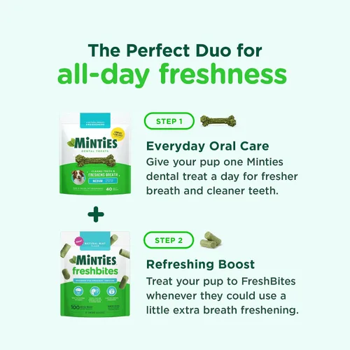 Vista 2 de Minties Golosinas masticables dentales para perros, 60 unidades + Minties FreshBites Golosinas dentales suaves y masticables para perros, 50