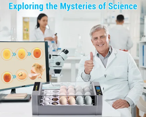 Vista 11 de Gpeng Incubadora de huevos, incubadora de 24 huevos con pantalla digital, giro automático de huevos, control automático de temperatura, para incubar